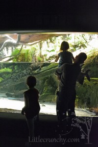 National_Aquarium_Daddy_Libby