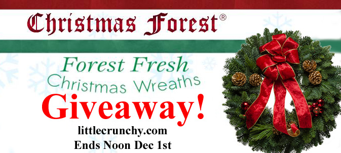 Giveaway_Holiday_Gift_Guide_Wreath