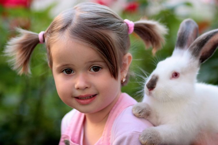 Rabbit Friendship Supplies Love Girl